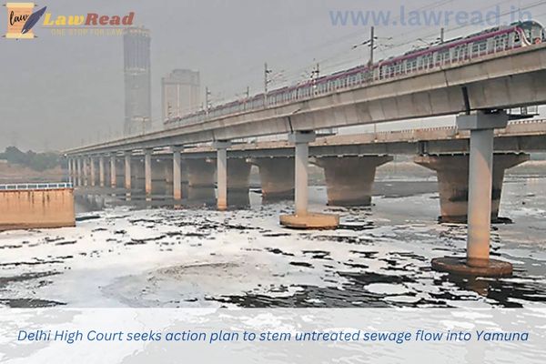 Delhi High Court seeks action plan to stem untreated sewage flow into Yamuna