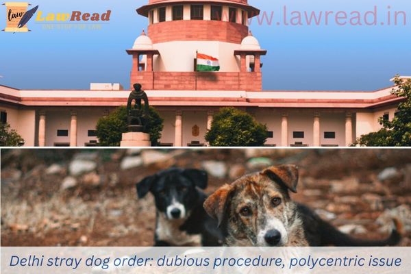 Delhi stray dog order: dubious procedure, polycentric issue