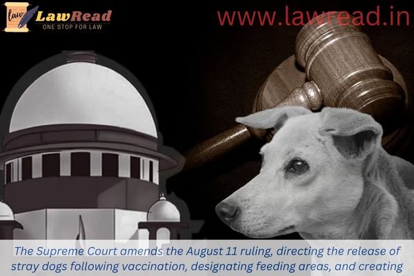 The Supreme Court amends the August 11 ruling, directing the release of stray dogs following vaccination, designating feeding areas, and creating national policy.