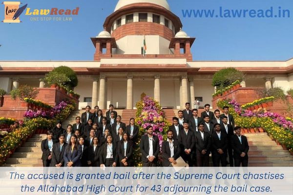 The accused is granted bail after the Supreme Court chastises the Allahabad High Court for 43 adjourning the bail case.