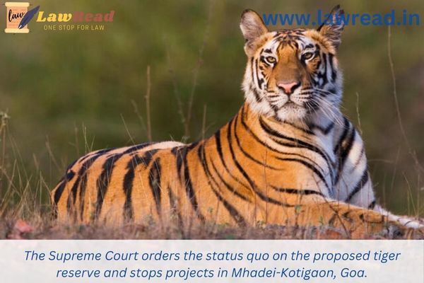 The Supreme Court orders the status quo on the proposed tiger reserve and stops projects in Mhadei-Kotigaon, Goa.