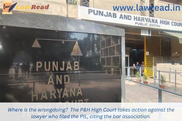 Where is the wrongdoing?  The P&H High Court takes action against the lawyer who filed the PIL, citing the bar association.