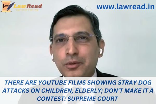 There are YouTube films showing stray dog attacks on children, elderly; don't make it a contest: Supreme Court